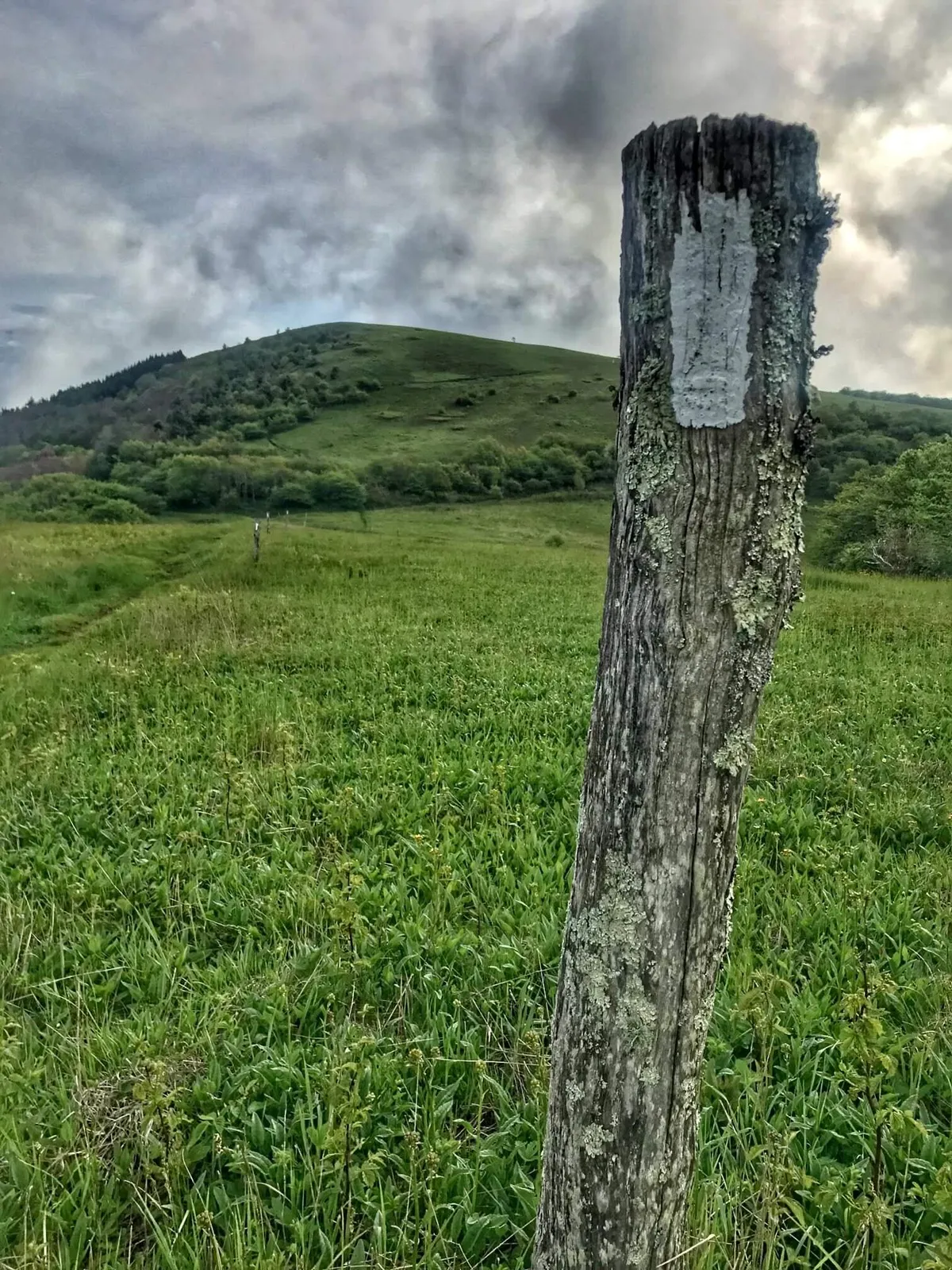 A tranquil exterior scene featuring a weathered wooden post, rolling green hills, and a softly clouded sky, evoking peaceful seclusion and immersion in nature.